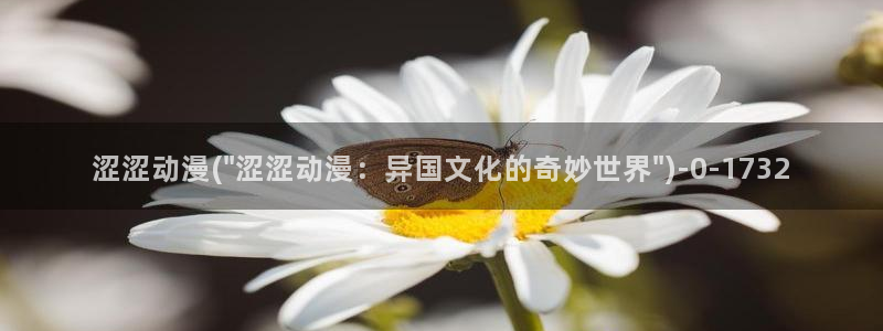 动漫岛:涩涩动漫(\